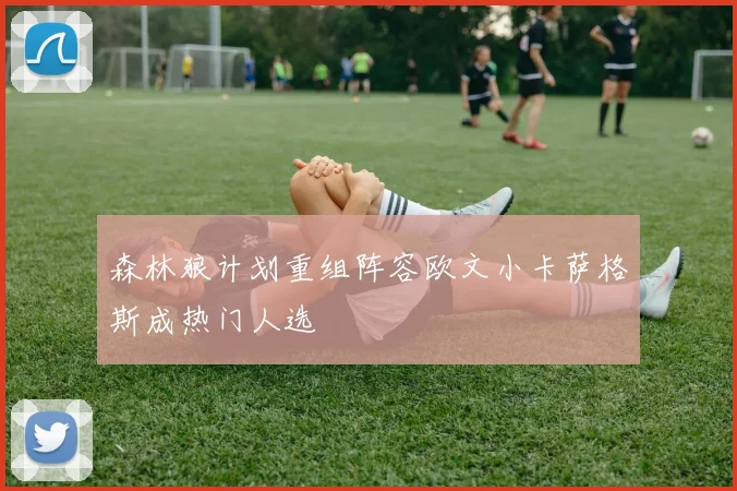 森林狼计划重组阵容欧文小卡萨格斯成热门人选